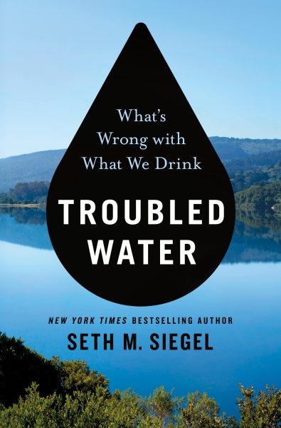 Troubled Water: What's Wrong with What We Drink cover
