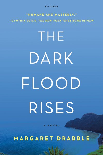 The Dark Flood Rises: A Novel cover