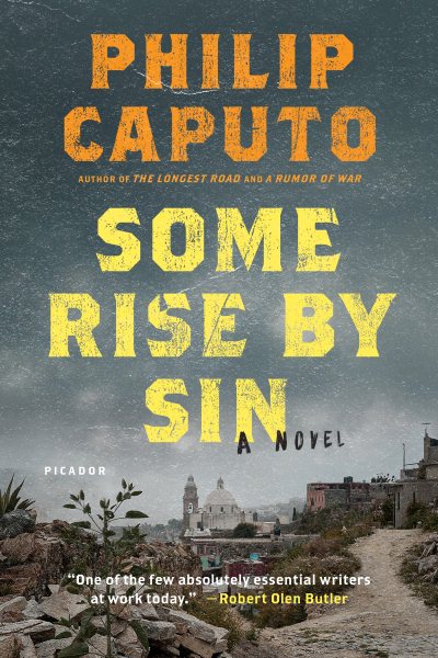 Some Rise by Sin: A Novel cover
