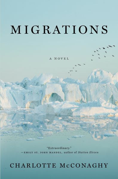 Migrations: A Novel cover