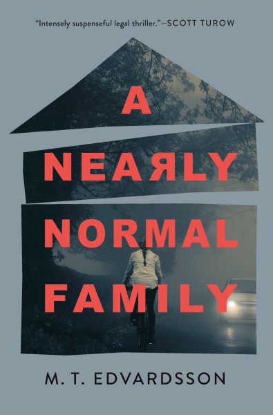 A Nearly Normal Family: A Novel cover