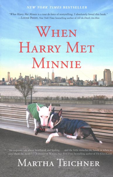 When Harry Met Minnie cover
