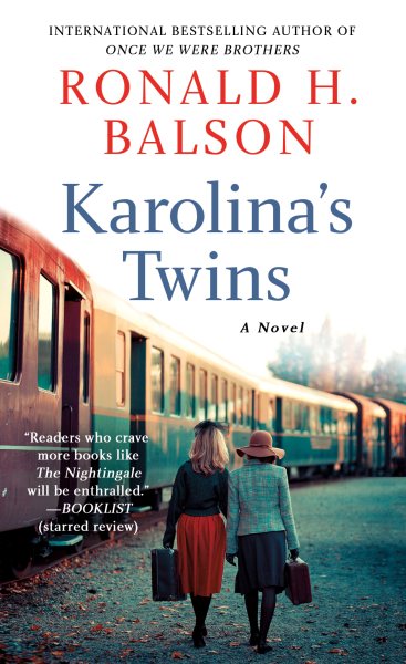 Karolina's Twins: A Novel cover