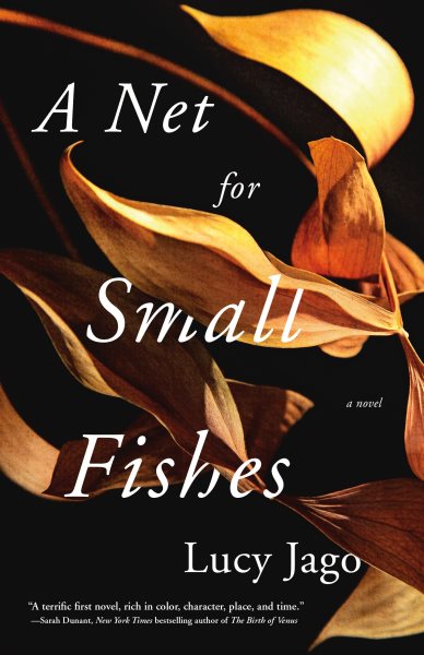 A Net for Small Fishes: A Novel cover