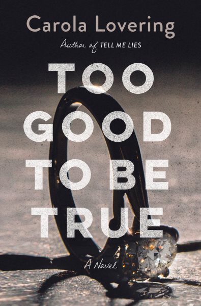 Too Good to Be True: A Novel cover