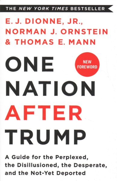 One Nation After Trump: A Guide for the Perplexed, the Disillusioned, the Desperate, and the Not-Yet Deported cover
