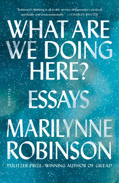 What Are We Doing Here?: Essays cover