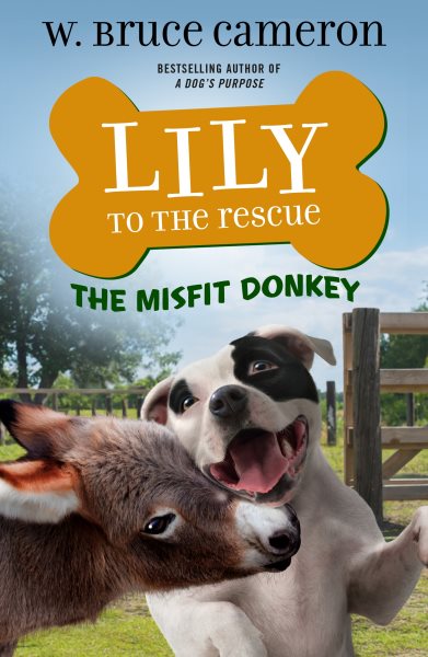 Lily to the Rescue: The Misfit Donkey (Lily to the Rescue!, 6) cover