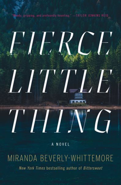 Fierce Little Thing: A Novel cover