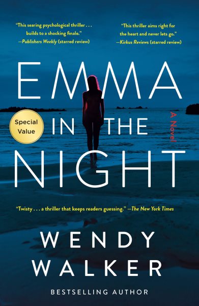 Emma in the Night: A Novel cover