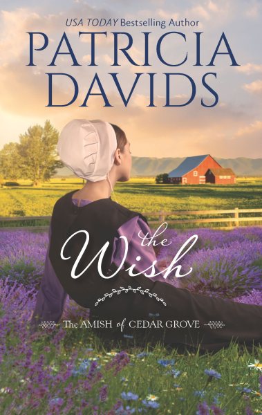 The Wish: A Clean & Wholesome Romance (The Amish of Cedar Grove) cover