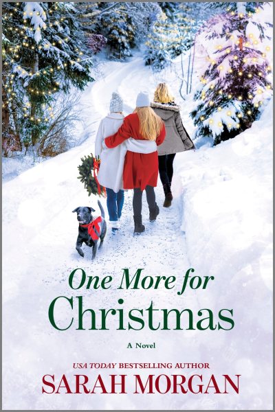 One More for Christmas: A Novel cover