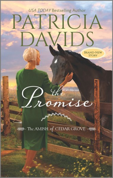 The Promise: A Clean & Wholesome Romance (The Amish of Cedar Grove) cover
