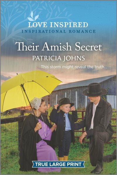 Their Amish Secret: An Uplifting Inspirational Romance (Amish Country Matches, 2) cover
