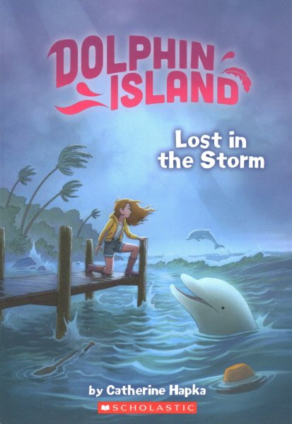 Lost in the Storm (Dolphin Island) cover