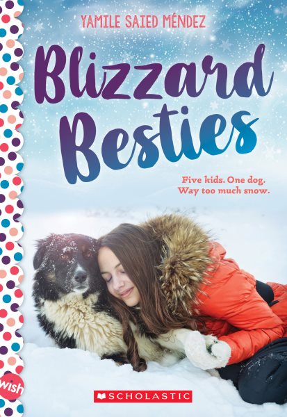 Blizzard Besties: A Wish Novel cover