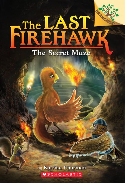 The Secret Maze: A Branches Book (The Last Firehawk #10) (10) cover