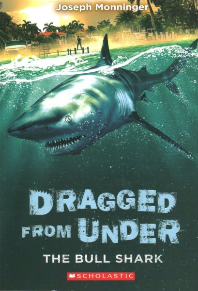 The Bull Shark (Dragged from Under #1) (1) cover