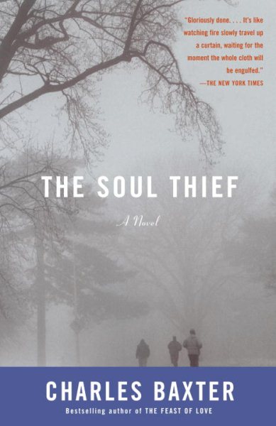 The Soul Thief (Vintage Contemporaries) cover