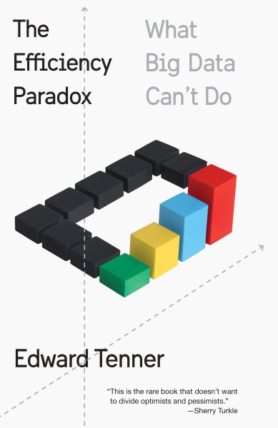 The Efficiency Paradox: What Big Data Can't Do cover
