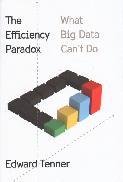 The Efficiency Paradox: What Big Data Can't Do cover
