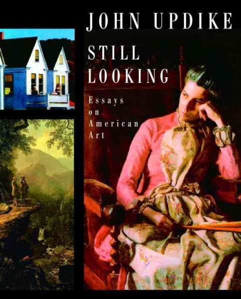 Still Looking: Essays on American Art cover