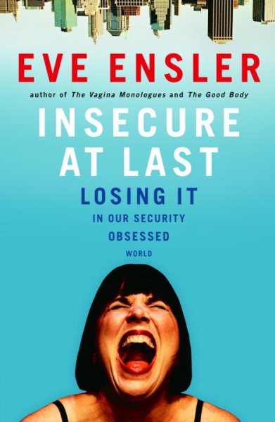 Insecure at Last: Losing It in Our Security-Obsessed World cover