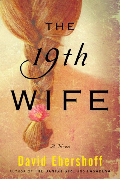 The 19th Wife: A Novel cover