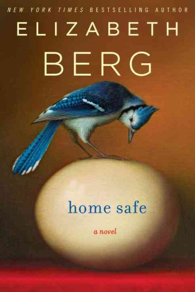 Home Safe: A Novel cover