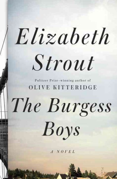 The Burgess Boys: A Novel cover