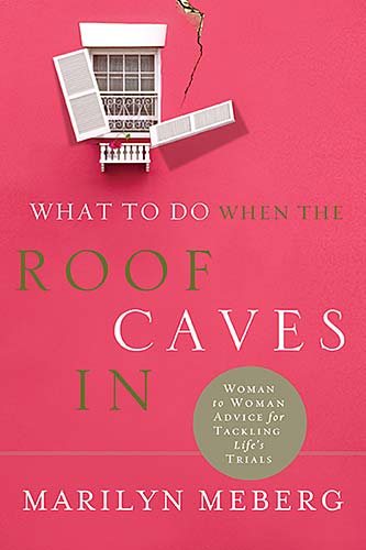 What to Do When the Roof Caves in cover