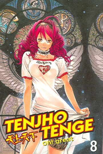 Tenjho Tenge VOL 08 cover