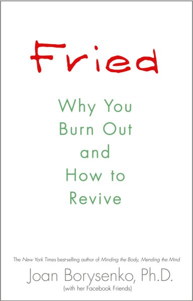 Fried: Why You Burn Out and How to Revive cover