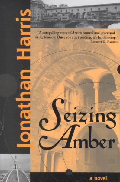 Seizing Amber cover