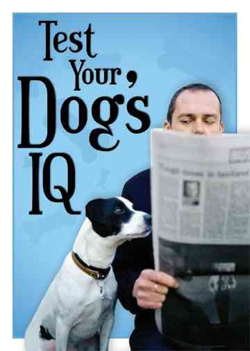 Test Your Dog's IQ (Do You Know...) cover