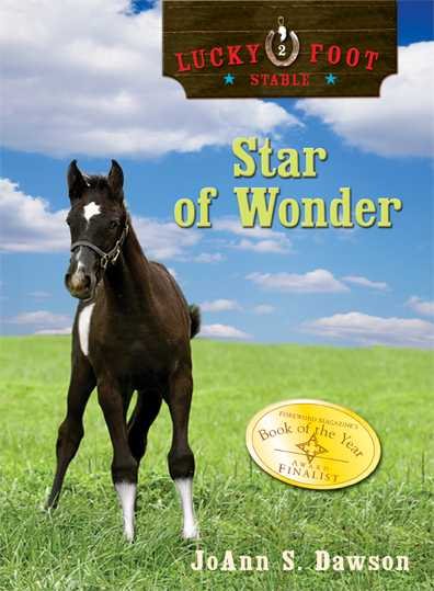 Star of Wonder (Lucky Foot Stable)