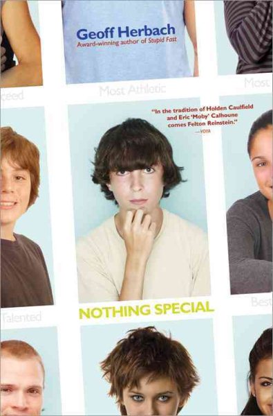 Nothing Special (Felton Reinstein trilogy) cover
