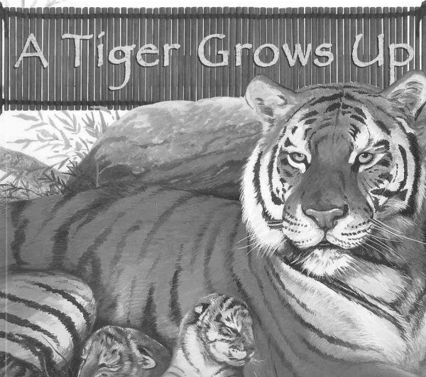 A Tiger Grows Up (Wild Animals) cover