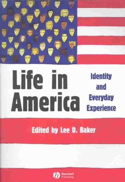 Life in America: Identity and Everyday Experience cover