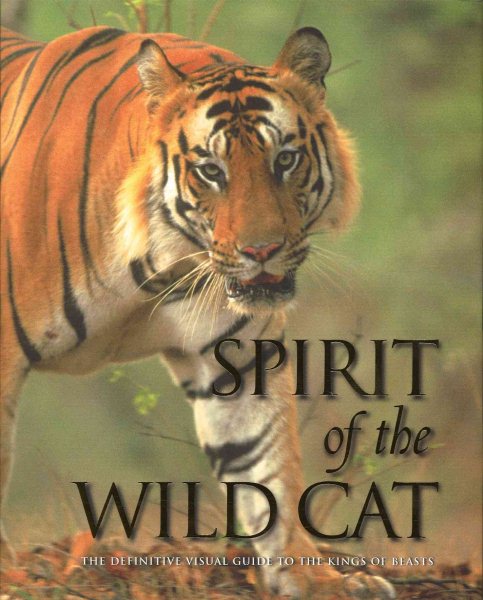 Spirit of the Wildcat cover