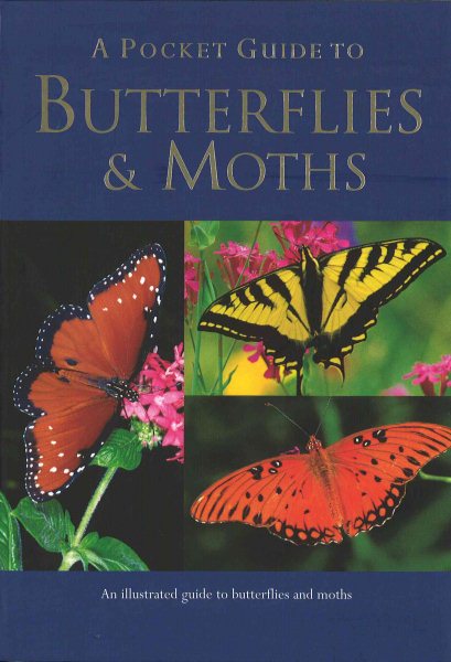 A Pocket Guide to Butterflies & Moths cover