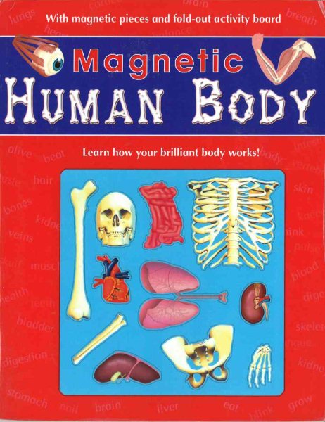Magnetic Human Body (Magnetic Workbooks) cover