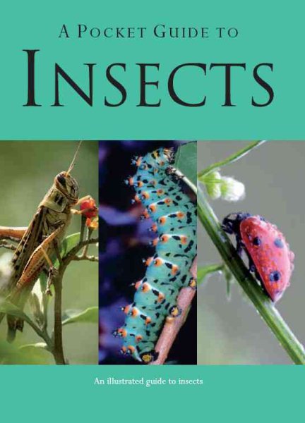 A Pocket Guide to Insects (Pocket Guides)