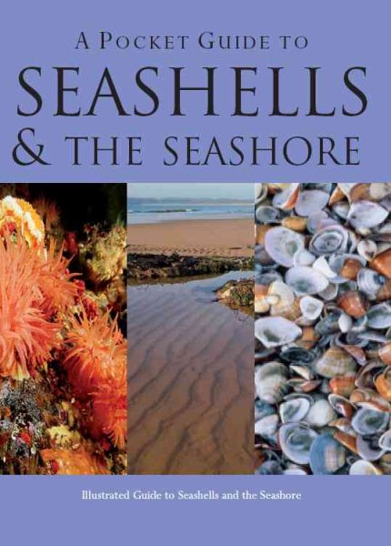 A Pocket Guide to Seashells & the Seashore (Pocket Guides) cover