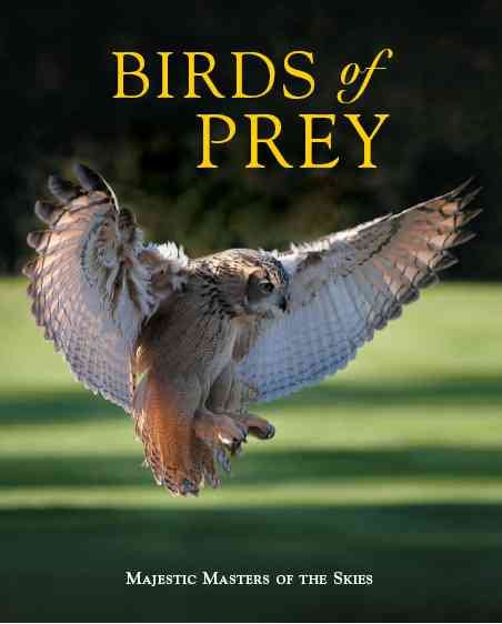Birds of Prey cover