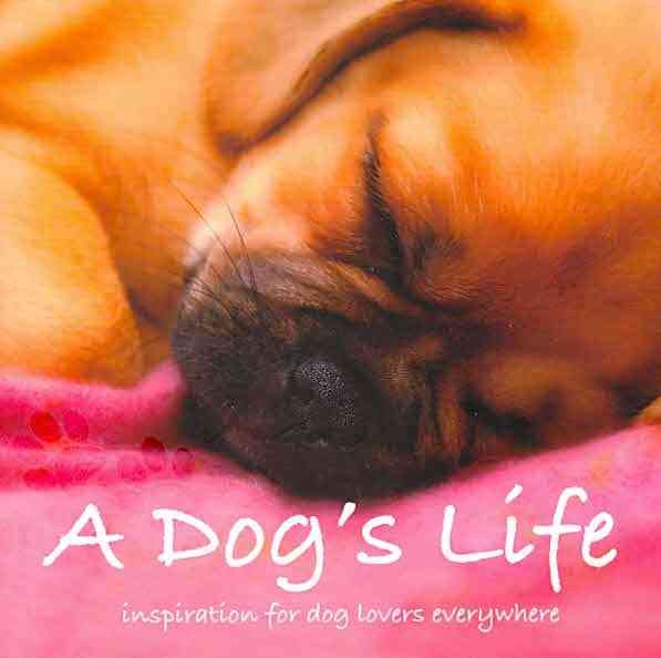 Dogs (Inspirational Books) cover