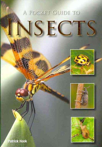 A Pocket Guide to Insects cover