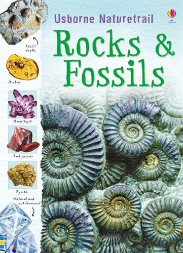 Rocks & Fossils cover