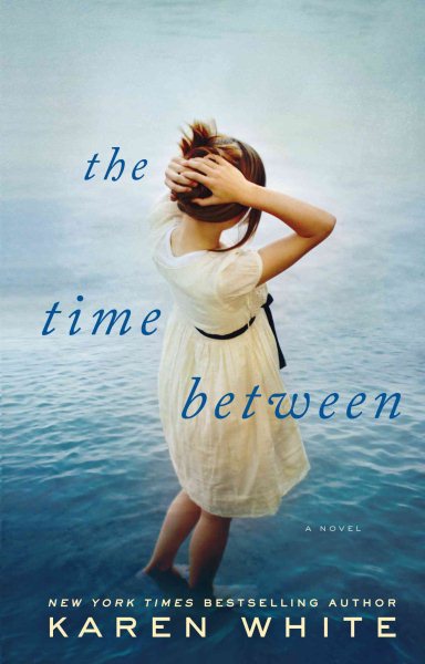 The Time Between (Wheeler Publishing Large Print Hardcover) cover