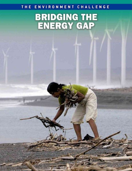 Bridging The Energy Gap (The Environment Challenge) cover